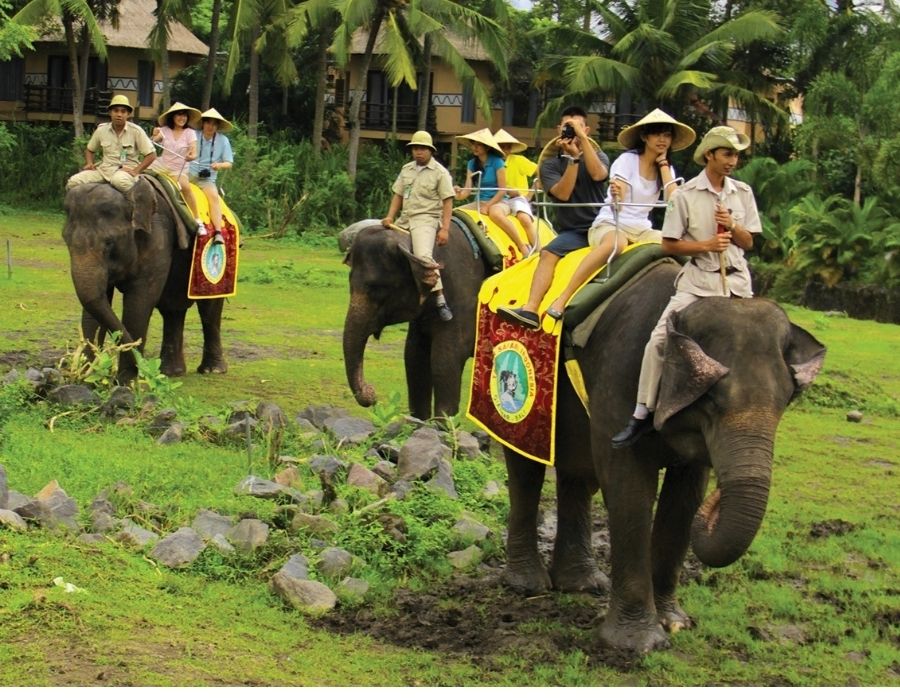 elephant ride tour