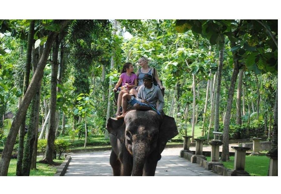 elephant ride tour